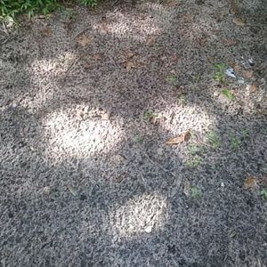 Meet your Posher, Julien